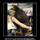 ���� ((������)), ������ �������� - ��������� 17 ��� 2013 � ������ �Foto Sympathy�