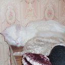 ���� �������, ������, 40 ��� - ��������� 10 ����� 2011 � ������ ������