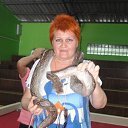 ���� Iren, ��������� - ��������� 3 ������ 2013 � ������ ���� ����������