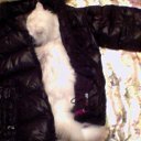 ���� Lasha, ������ - ��������� 16 ������ 2012 � ������ ���� ����������