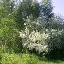 ���� ������, ���������, 46 ��� - ��������� 31 ��� 2013 � ������ ���� ����������