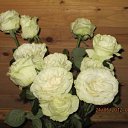  , -, 57  -  23  2012      !!!