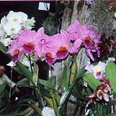 ���� ����. ��������� �� ��!, ������, 72 ���� - ��������� 13 ������ 2011 � ������ ��������