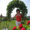 ���� ���������, ������ - ��������� 11 ������� 2011