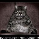 ���� ��, ������������, 39 ��� - ��������� 6 ������ 2010 � ������ �������