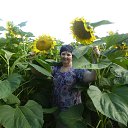 ���� �����, �������� - ��������� 19 ���� 2013 � ������ ���� ����������