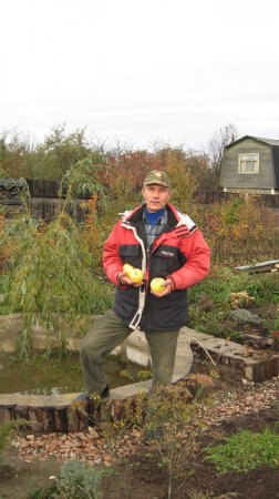 �����, �������, 64 ����