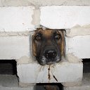 ���� Dinamick, �����, 49 ��� - ��������� 10 ����� 2010 � ������ ���� ������ �����