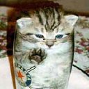 ���� ����. ��������� �� ��!, ������, 72 ���� - ��������� 28 ����� 2011 � ������ �������� ����