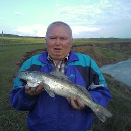 ���� ��������, �������, 72 ���� - ��������� 15 ������ 2013