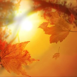 ���� �����, �����������, 48 ��� - ��������� 25 ��� 2012