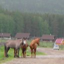 ���� �����, ���������, 60 ��� - ��������� 11 ������� 2012 � ������ �������