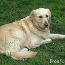 ���� Dazz, ������, 58 ��� - ��������� 30 ����� 2011 � ������ �������