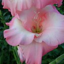 ���� ������, ������, 32 ���� - ��������� 24 ������ 2009 � ������ �...�