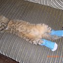 ���� �����, ������������, 50 ��� - ��������� 5 �������� 2010 � ������ �2010�