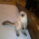   ( ),  -  22  2012     Ҹ!!!