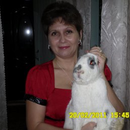���� ����, ������� - ��������� 20 ������� 2011
