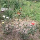 ���� ������, ������, 59 ��� - ��������� 23 ���� 2012 � ������ �������