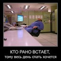 ���� ������, ���, 71 ��� - ��������� 7 ������ 2010 � ������ �"�� ��������,�� ����"!!!�