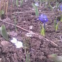 ���� �������, ������, 57 ��� - ��������� 14 ���� 2012 � ������ ���� ������