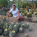 �������� ��������. �� ������� ���� ����������