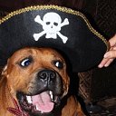 ���� Tata, ������, 56 ��� - ��������� 6 ����� 2013 � ������ ���� ����������