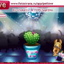 ���� �������, ������� - ��������� 4 ������ 2011 � ������ �PetLove�