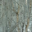 ������� �� ������!!! �� ������� ����������� ���� ���..))�