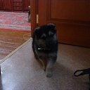 ���� ����, ��������� - ��������� 13 ����� 2010 � ������ �������