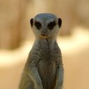 ���� [{Dezman}], �������, 37 ��� - ��������� 1 ������� 2011