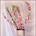 ���� Svetlana, ������, 59 ��� - ��������� 31 ����� 2011 � ������ ���� �������� �������