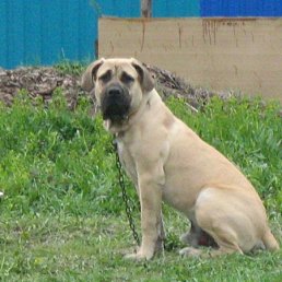 ���� ������, �������, 44 ���� - ��������� 28 ������� 2009