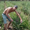 ���� ��������, ������, 43 ���� - ��������� 8 ������� 2012 � ������ �� � ��