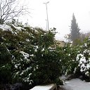 ���� Boris, �������, 67 ��� - ��������� 17 ����� 2012 � ������ �������� ���������