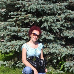 ���� ������, ����, 53 ���� - ��������� 29 ������ 2012