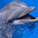 ���� �����, ��������, 48 ��� - ��������� 24 ����� 2012 � ������ ���� ����������