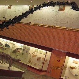 �����, ������, 47 ���