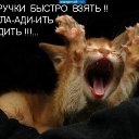 ���� �������, ������, 49 ��� - ��������� 8 ������ 2013 � ������ ���� ����������