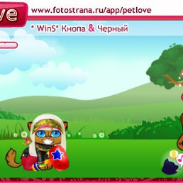 ���� ������, ���������, 37 ��� - ��������� 18 ������� 2010