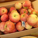 ���� ����, ������, 56 ��� - ��������� 31 ������� 2011 � ������ ��������� �����