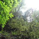 ���� ���, ���������, 50 ��� - ��������� 24 ������� 2012 � ������ ���� ����������