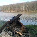 ���� �������, ����, 42 ���� - ��������� 9 ��� 2011 � ������ �������