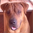 ���� ����, ������-��-����, 85 ��� - ��������� 25 ������� 2011 � ������ ���� ����������