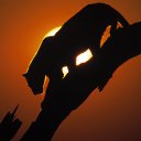 ���� Oksana, ������ ����� - ��������� 22 ������ 2011 � ������ ���� ����������