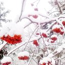 ���� �����, ������������, 49 ��� - ��������� 6 ������� 2012 � ������ ���� ����������
