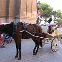 ���� �����, ������, 58 ��� - ��������� 3 ������� 2012 � ������ ��������-������ ���������� �������...�