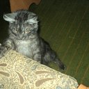 ���� ���������, �����������, 43 ���� - ��������� 29 ������� 2012 � ������ ���� ������