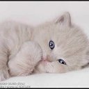 ���� ***�***, �����, 39 ��� - ��������� 19 ��� 2013 � ������ ���� ����������