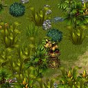 ���� ����������, ������, 34 ���� - ��������� 26 ������ 2013 � ������ �Tropikania�