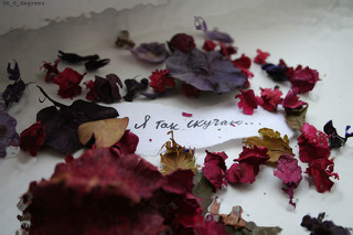 ���� �������, �����, 39 ��� - ��������� 27 ������ 2011